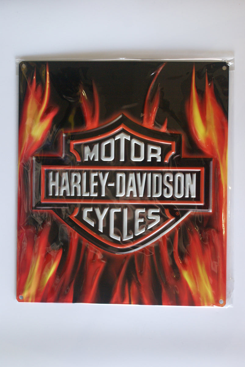 DSC01283_1200x1200.jpg?v=