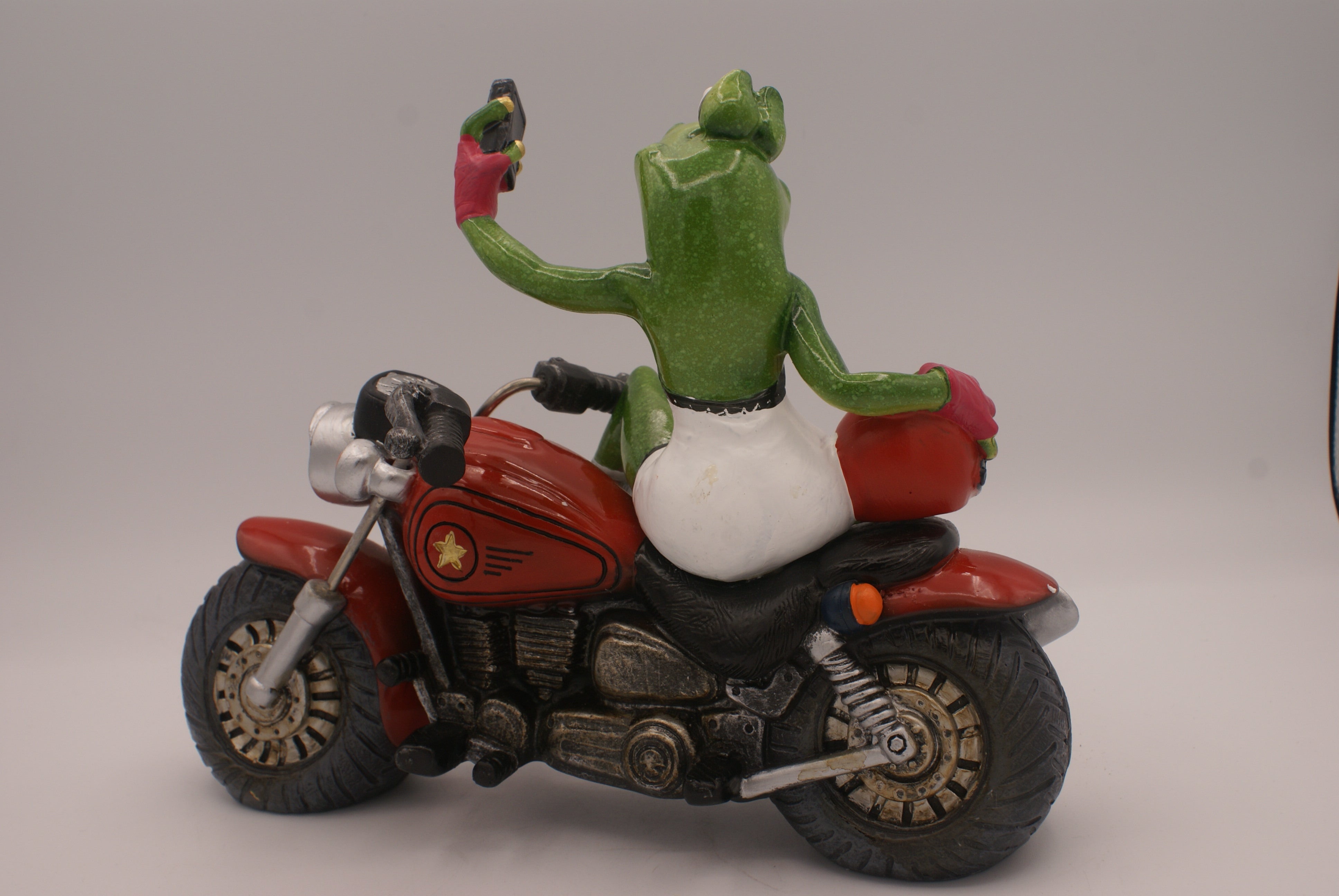 Frog selfie on motorcycle